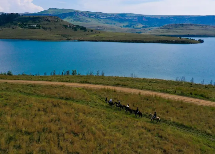 First Group Qwantani